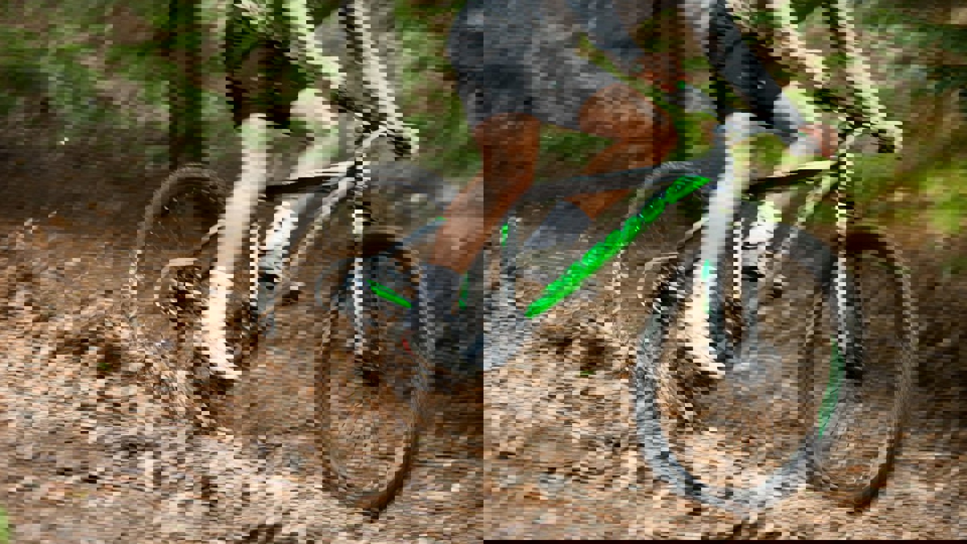 Kamera 1 124 Of 125 E1455103402198