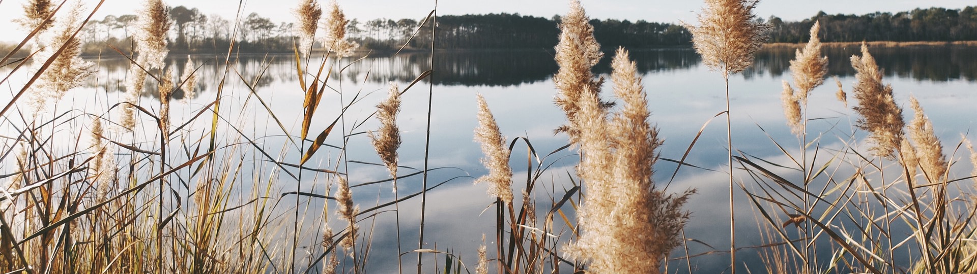 1920x540 natur sø