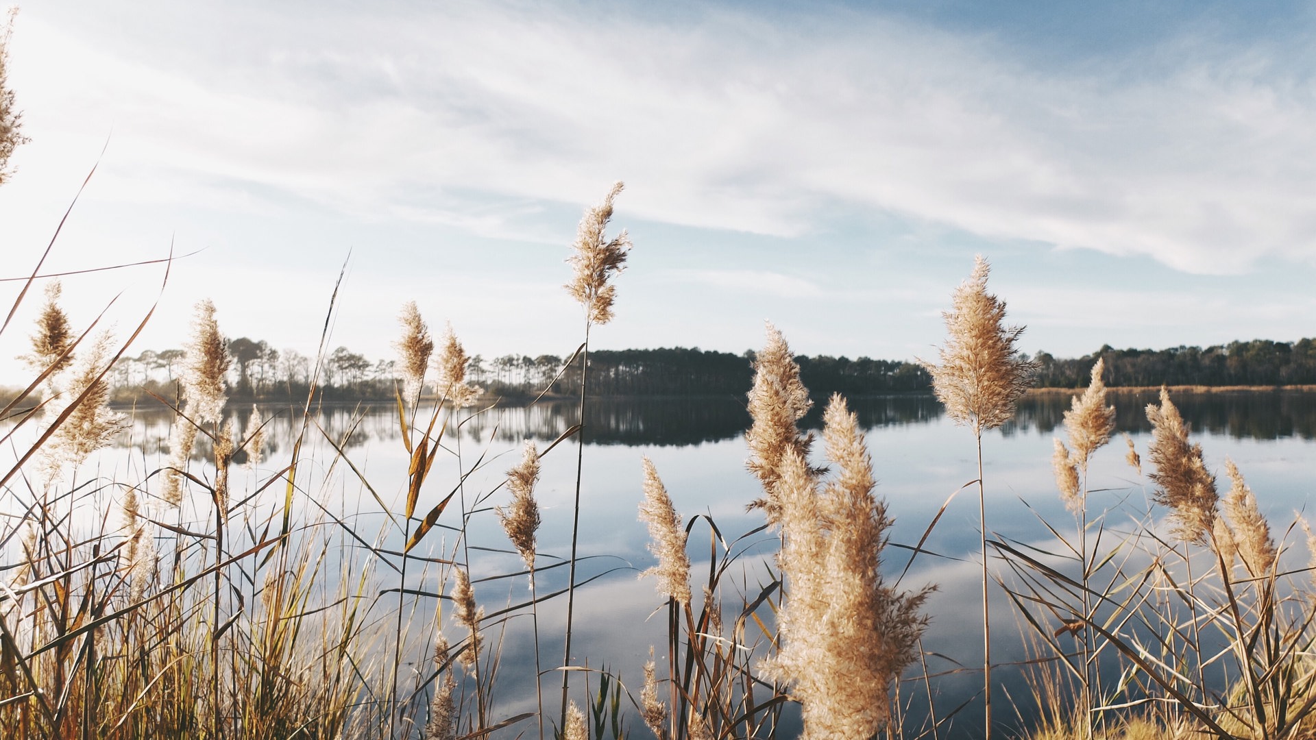 1920x540 natur sø